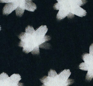 Midnight - SHOOTING STAR - Sweat