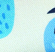 Picknick - STRAWBERRIES - Canvas