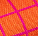 Beetles & Bugs - GRIDS - Sweat