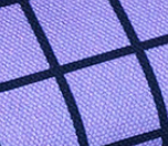 Beetles & Bugs - GRIDS - Sweat