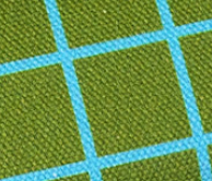 Beetles & Bugs - GRIDS - Sweat