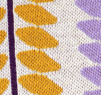 Beetles & Bugs - LIANA