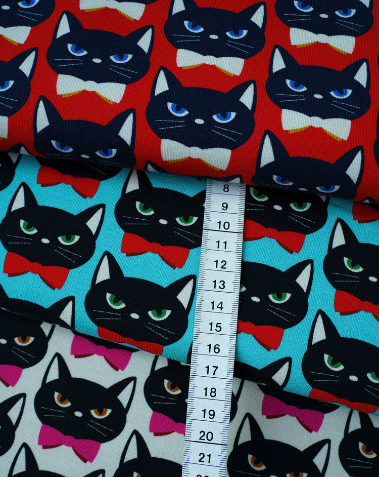 Bling Bling - MEOW - Canvas