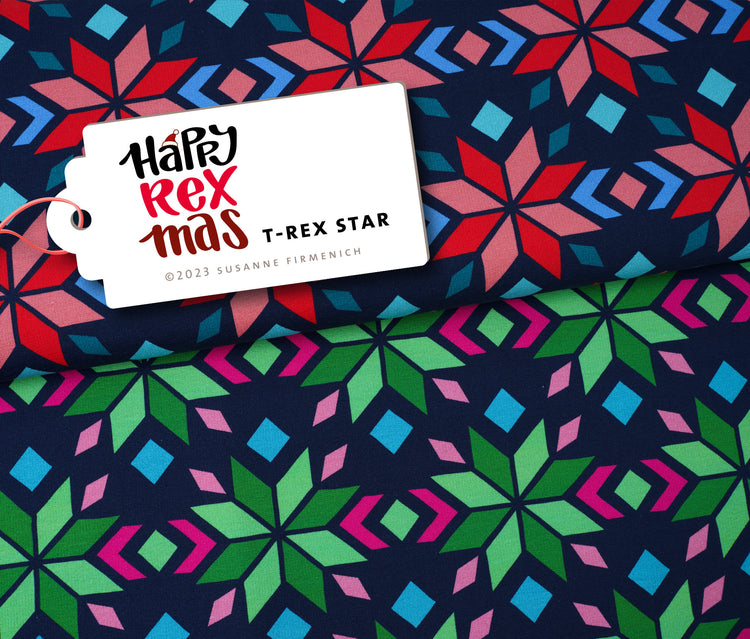 Ugly Christmas - TREX STAR - Sweat