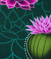 Western Fairy Tales - PRAIRIE BLOSSOM - Jersey