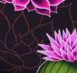 Western Fairy Tales - PRAIRIE BLOSSOM - Jersey