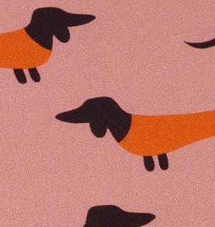 Darling Things - WIENERDOG - Sweat