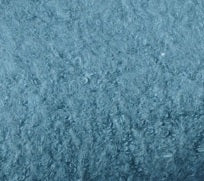 Bio TEDDY Plüsch 2022