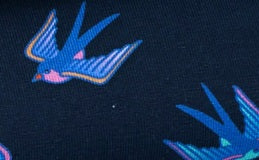 Ahoy - LITTLE - Sweat