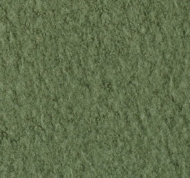 Bio TEDDY Plüsch 2022