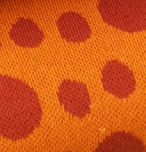 Queens United - FOREVER