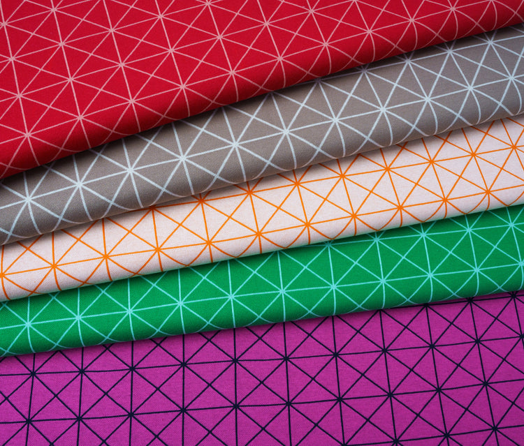 Wonderland - CROSS SQUARE