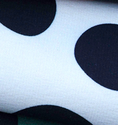 Pet Pop - DALMADOTS - Sweat