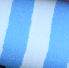 Pet Pop - TIGER STRIPES - Jersey