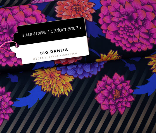 Performance - BIG DAHLIA